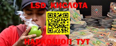 шишки Нарткала