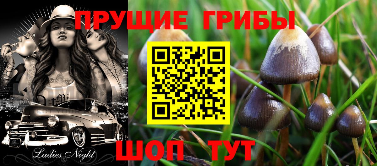 Псилоцибиновые грибы ЛСД Тула