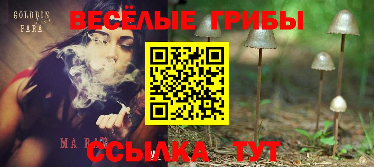 Псилоцибиновые грибы Psilocybe  Вход с VPN  Тула 